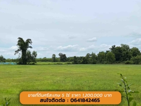 ขายที่ดินศรีสะเกษ 5 ไร่ 1,200,000 บาท (( ที่ดินสวย ทำเลดี ))