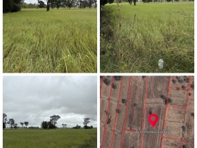 ด่วน ขายที่นา ราคาถูก อ.กันทรารมย์ จ.ศรีสะเกษ เนื้อที่ 12 ไร่