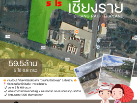 ขายด่วน ที่ดินพาณิชย์ทองคำ ตรงข้ามวัดร่องขุ่น จ.เชียงราย